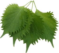 Perilla Leaves