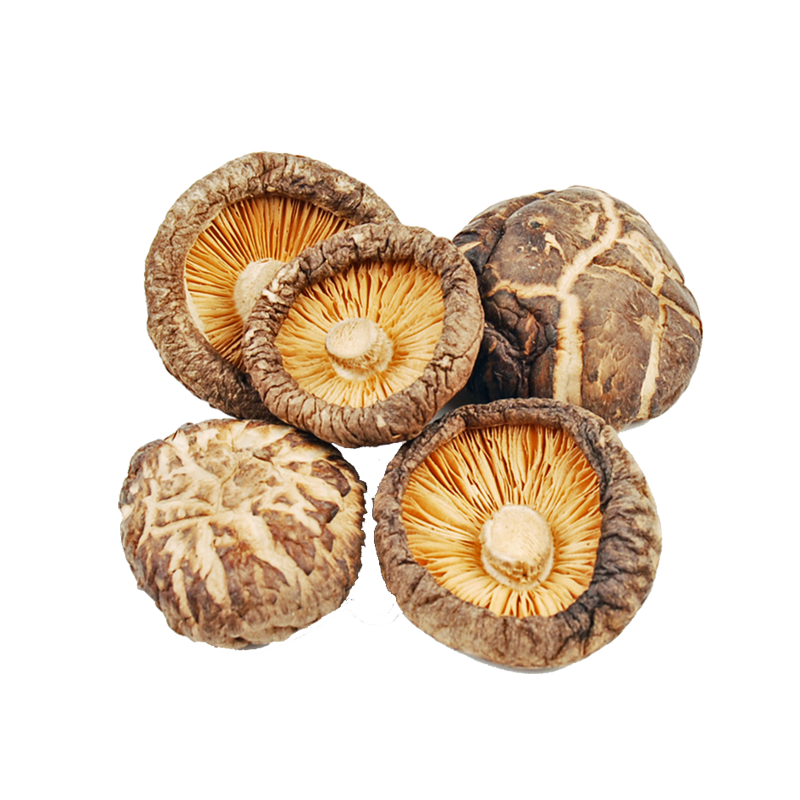 Shiitake Mushrooms
