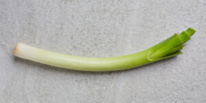 Korean Leek (Daepa)