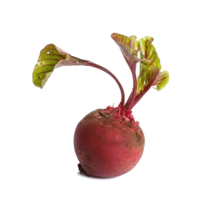 Beetroot